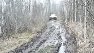 самодельный болотоход