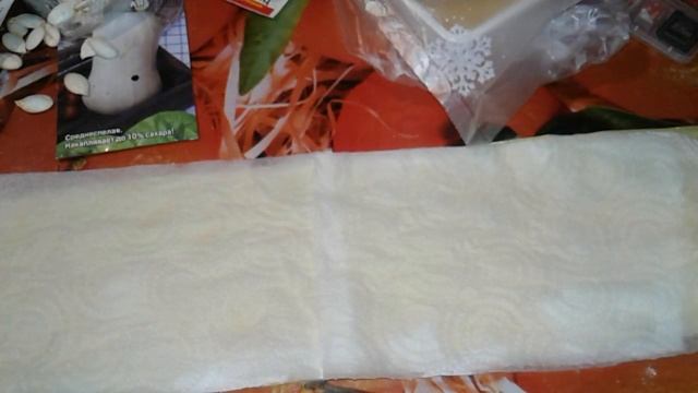 ТЫКВЫ И КАБАЧКИ! ГОТОВИМ СЕМЕНА К ПОСАДКЕ! ЛУЧШИЙ СПОСОБ!