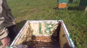 Как отработала Карника Скленар в 2019 году