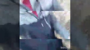 Ведь все что я хотел - это видеть свет,
И как бы посчитал жить нужным - мечтал,📈😊