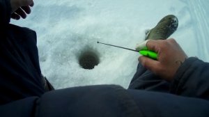 Блесна Клоп 25 мм    латунь-мельхиор