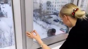 Вороны тоже любят все блестящее?