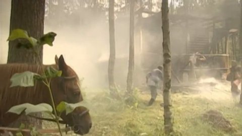 Винтовая лестница - анонс