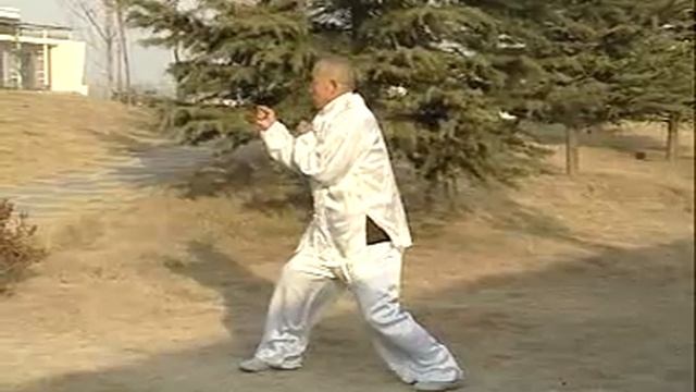 Саншоу Цишицюань. Часть 5.