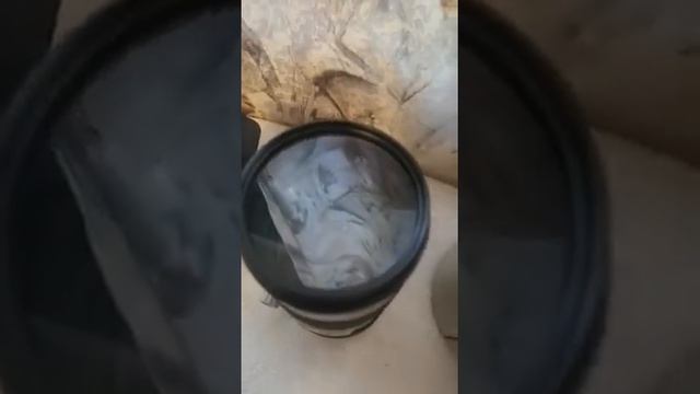 Объектив Canon ef 70 200 мм f/2.8L is usm смотреть онлайн