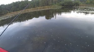 ЩУКА НА ВОБЛЕР. ROGER, KURADO, INTRA.