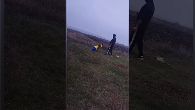 Патриотичная бельгийская овчарка