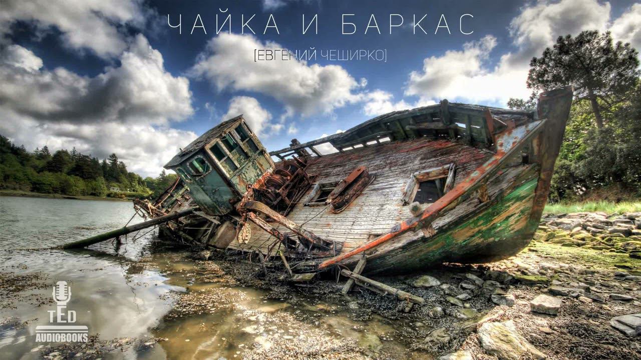 Евгений ЧеширКо "Чайка и Баркас" (рассказ).