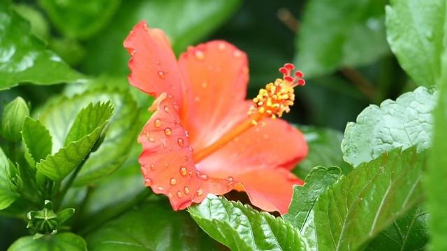 Опасны ли осознанные сны для мозга, предсмертные переживания ярче обычной памяти и другие новости смотреть онлайн