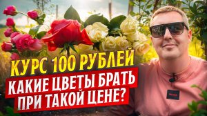 Как выбирать цветы в нынешних реалиях? | Плантация Sacha Rose | Эквадор | Цветы оптом