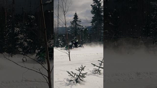 Fallen logging truck - Падший лесовоз