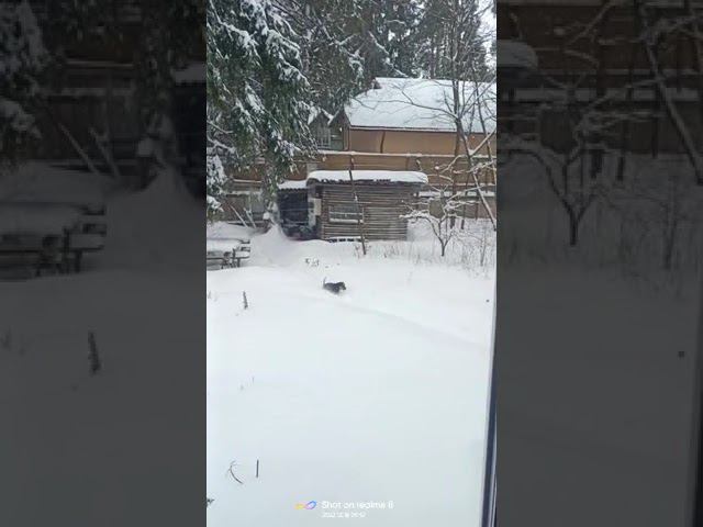 18 декабря 2022 г. смотреть онлайн