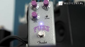 Fender Hammertone Fuzz
