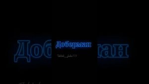 Эдиты с //доберман//🖤🐕👑