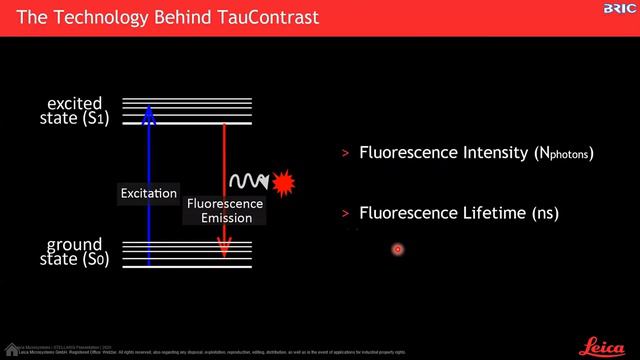 연구 속도를 높일 수 있는 공초점 플랫폼 STELLARIS 기술 소개 смотреть онлайн