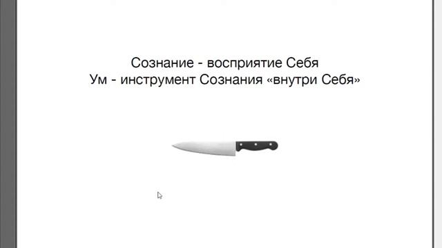 Вебинар Эволюция Сознания (начало)