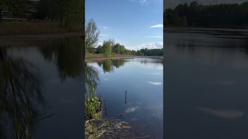 Кулебаки на Новостройском пруду нет мошек