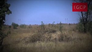 Свидетельство Ларисы Удовенко стало частью проекта «Донбасс. История боли».