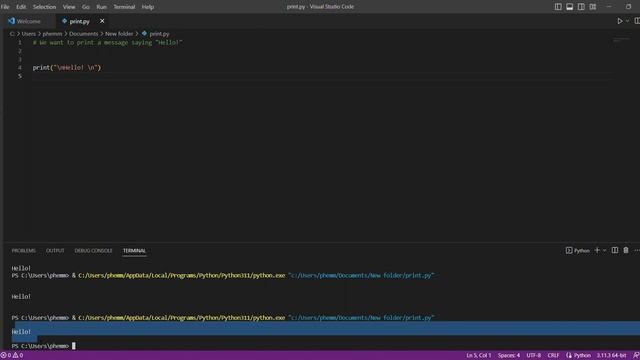 Print module and Input module in python