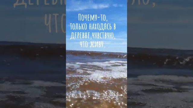 деревья Устрека.  Новгородская обл. Старорусский район. Озеро Ильмень