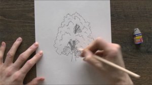 КАК РИСОВАТЬ КРОНУ ДЕРЕВЬЕВ #Какрисоватьдерево