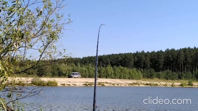 Шиловский пруд 24 07 2020 смотреть онлайн