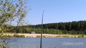 Шиловский пруд 24 07 2020