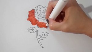 Как ПРОСТО И ПОЭТАПНО нарисовать КРАСИВУЮ РОЗУ/841/How to draw a BEAUTIFUL ROSE IN simple STEPS