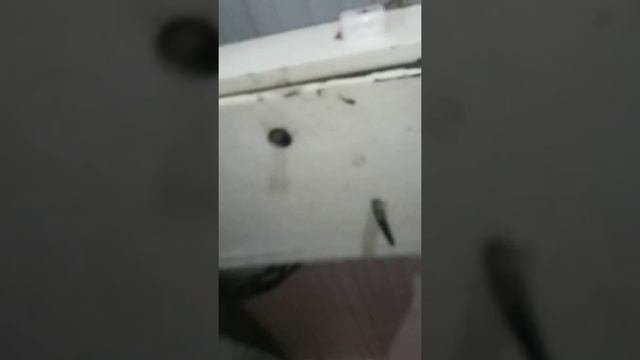 Автоматическая котельная на щепе