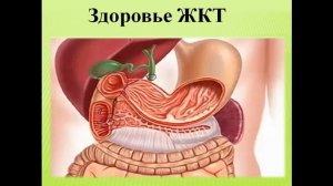 Лечение болезней травами | "Сам себе целитель" - народные рецепты от болезней.