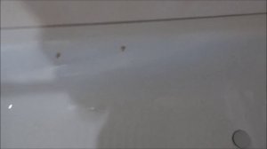 Каркас для стальной ванны.