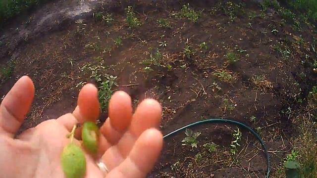 С чего начать. Предлагайте идеи. смотреть онлайн