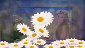 Наталя Бунь - білі ромашки