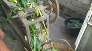 Кукурузорезка своими руками!!! Силос своими руками