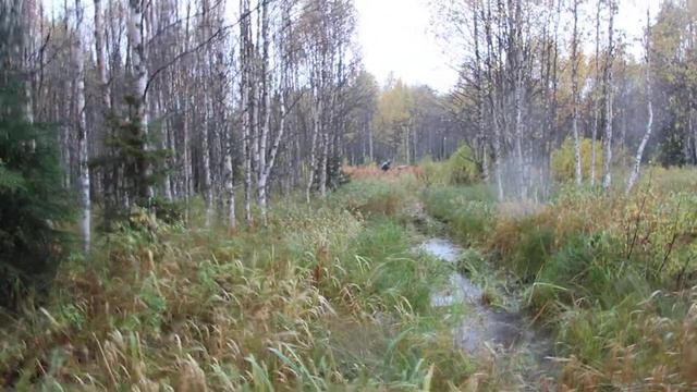 Испытания мотобуксировщика 13 сентября 2019г смотреть онлайн