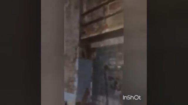 заброшенный льнокомбинат