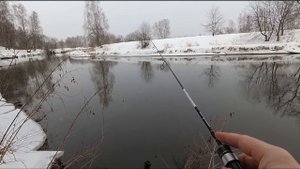 Наноджиг. Плотва в январе ft.@pilot225588