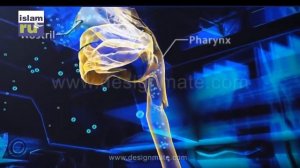 Маслихат аз паёмбар с в а барои харобшави