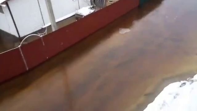 1 февраля 2020 г.ПОТОП В ЯРОСЛАВСКОЙ ОБЛ. НАРОД БРОШЕН. НИКОМУ НЕТ ДЕЛА!!! смотреть онлайн