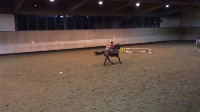 Мои первые прыжки в конкуре?? смотреть онлайн