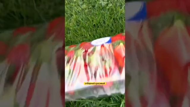 Цена клубники в Испании смотреть онлайн