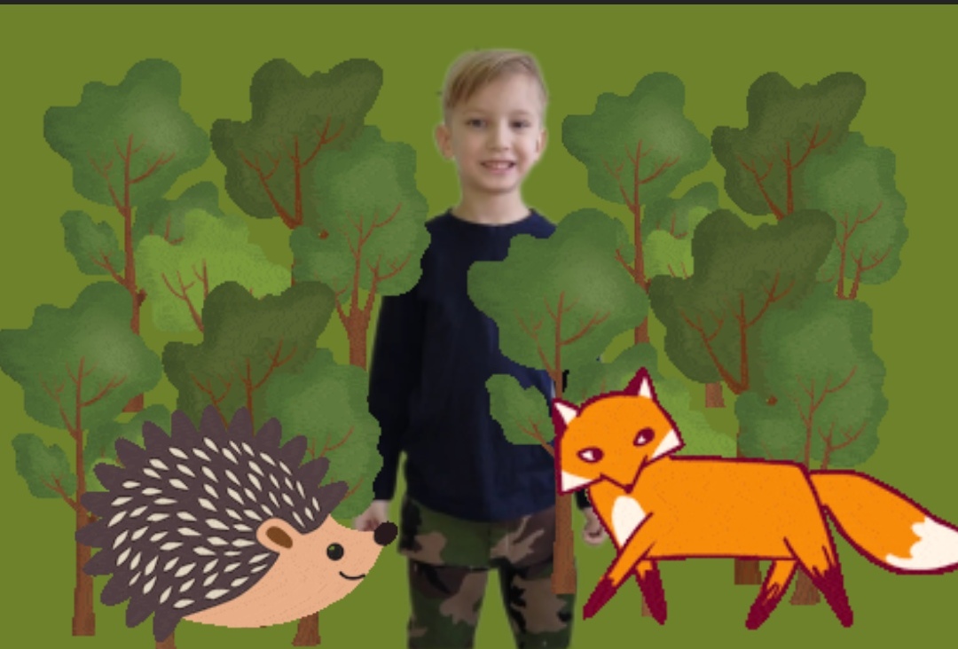 Wild animals / Дикие животные - смотреть видео онлайн от «Английский с Винтиком» в хорошем качестве, опубликованное 18 апреля 2023 года в 23:25:20.