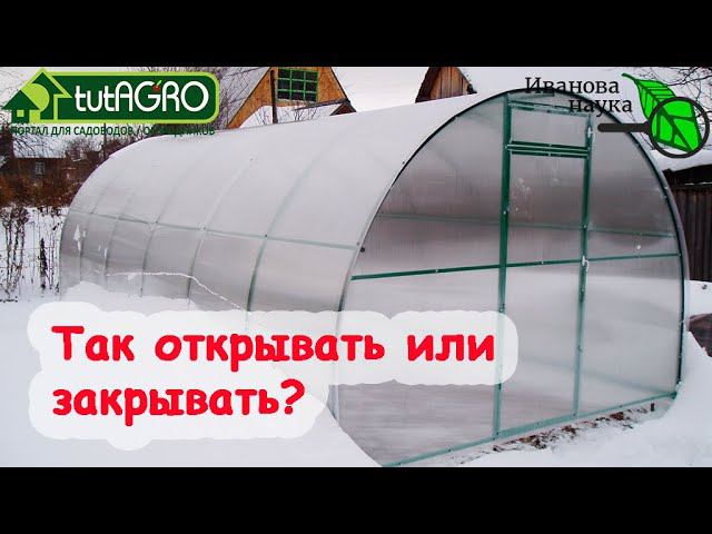 ТАК КАК? Открываем или закрываем двери в теплицу? Мнение, основанное на практике и опыте.
