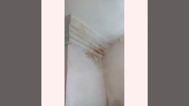 Краска для стен и потолков смотреть онлайн