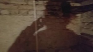 наш подвал.mp4