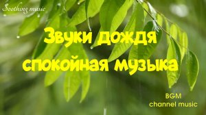 ?Звуки дождя для сна | Музыка для релаксации? |Спокойная музыка