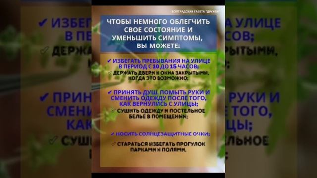 Аллергия на амброзию. Пару советов как уменьшить проявление аллергии