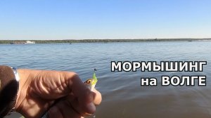 Мормышинг и микроджиг на большой реке.