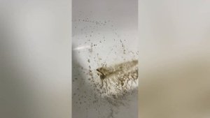 Стиральная машина бегает по полу