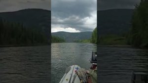 Попали на жор Ленка! Ловля Ленка на спиннинг.